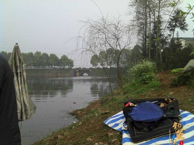 天气预报瞎胡闹 瞧我半天收获也不少