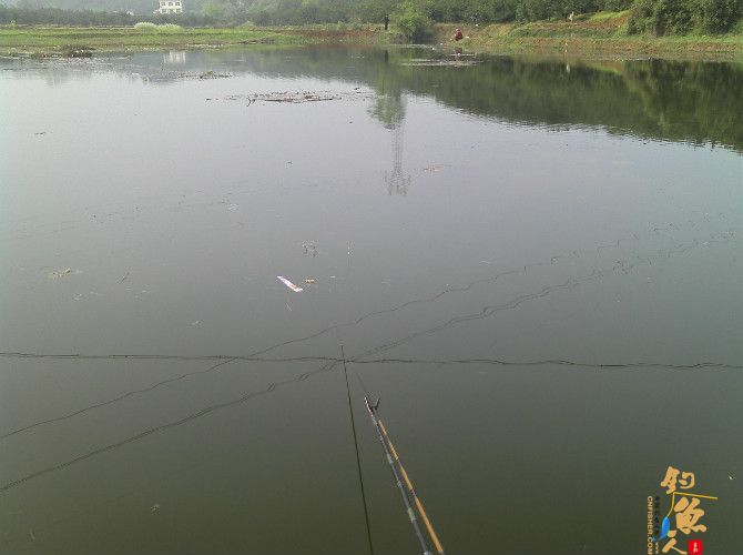 天气预报瞎胡闹 瞧我半天收获也不少