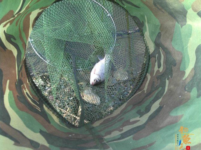 天气预报瞎胡闹 瞧我半天收获也不少