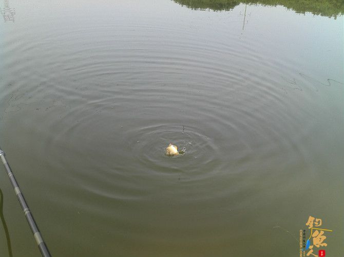 天气预报瞎胡闹 瞧我半天收获也不少