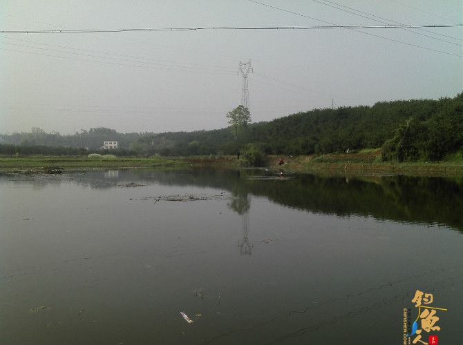 天气预报瞎胡闹 瞧我半天收获也不少