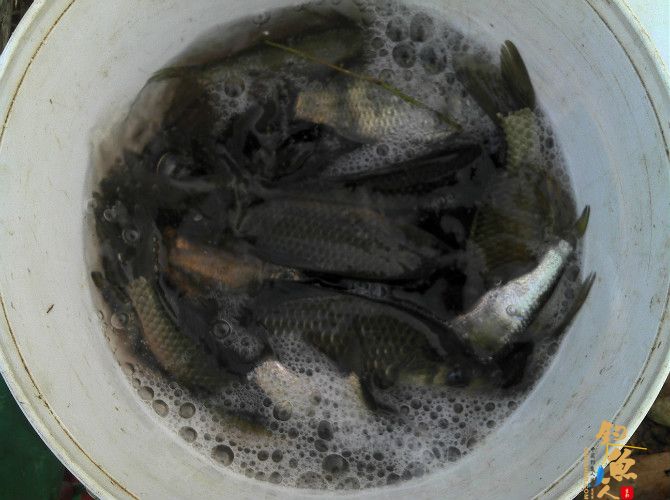 天气预报瞎胡闹 瞧我半天收获也不少