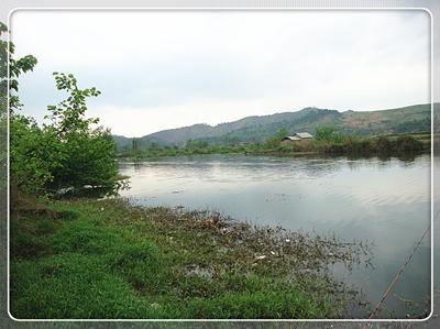 初次征战普里桥镇草坝渓 鱼获还是不错