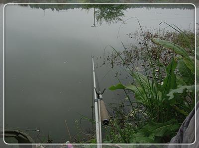 初次征战普里桥镇草坝渓 鱼获还是不错