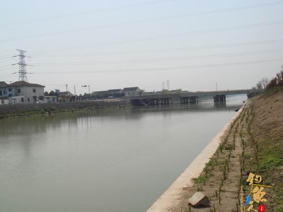 小战观江园 战小鲤，斗小鲫 多图