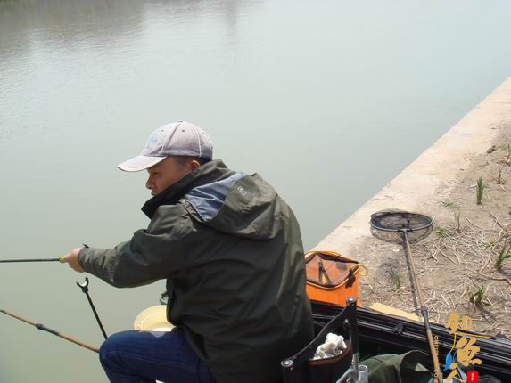 小战观江园 战小鲤，斗小鲫 多图