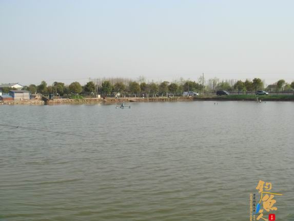 小战观江园 战小鲤，斗小鲫 多图