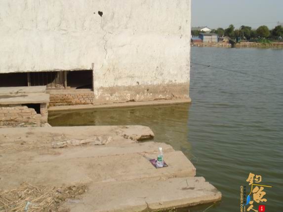 小战观江园 战小鲤，斗小鲫 多图