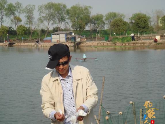 小战观江园 战小鲤，斗小鲫 多图