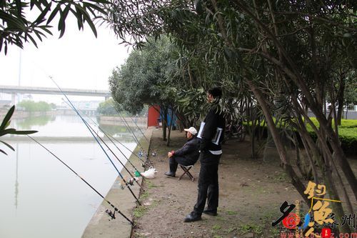 明令禁止垂钓 8钓竿16个鱼钩一网打尽池塘鱼
