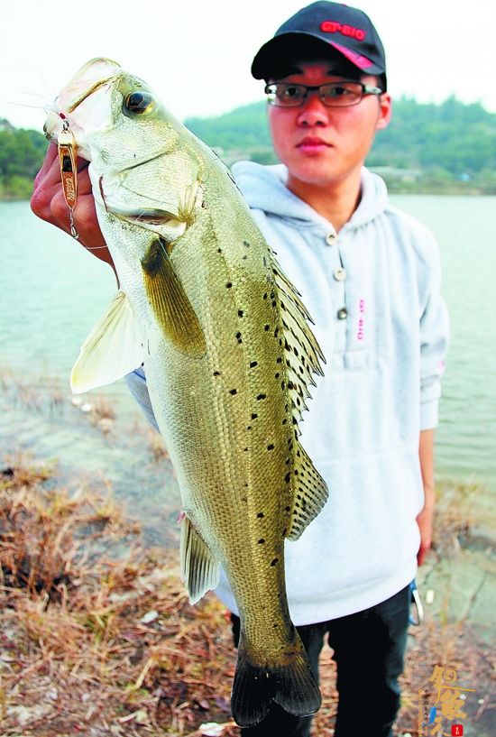 石狮垂钓高手垂钓有新招 金属饵也能钓到大鱼 图2