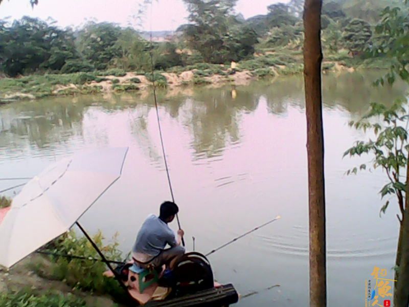 毒片，勿观，谨入 多P 