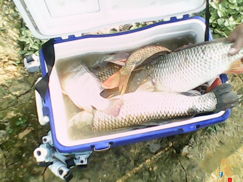 毒片，勿观，谨入 多P 