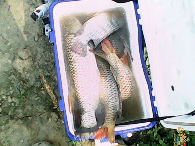 毒片，勿观，谨入 多P 