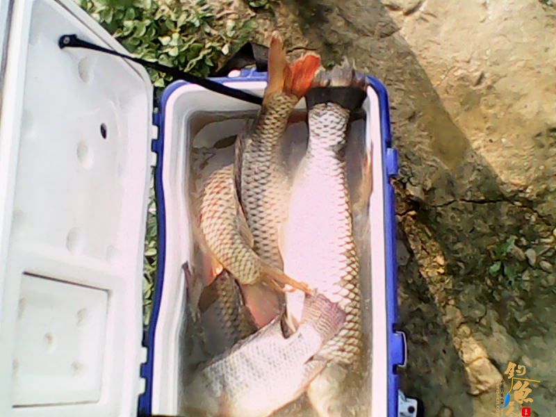 毒片，勿观，谨入 多P 