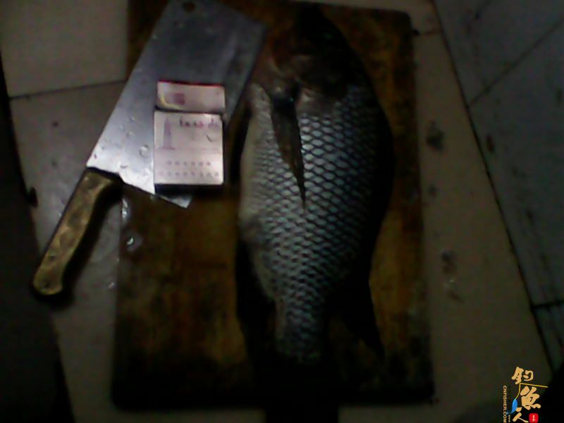 毒片，勿观，谨入 多P 