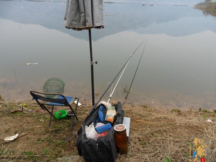 收获近二十斤野生板鲫