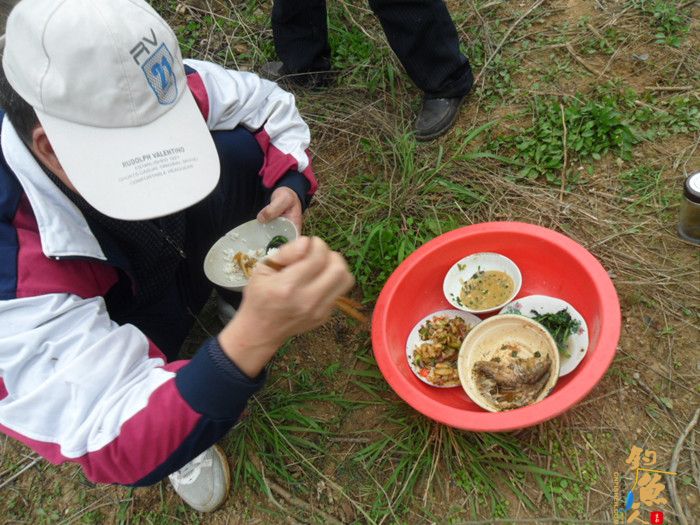 收获近二十斤野生板鲫