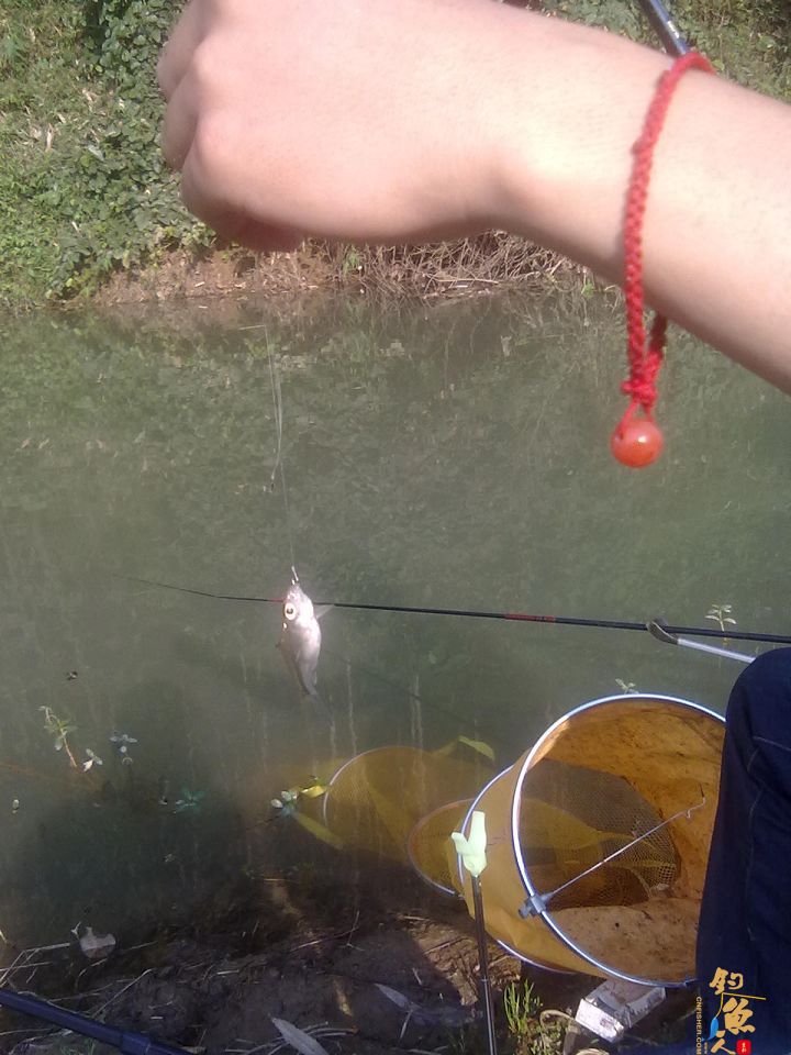 屡次空军后，终于等来刀光剑影