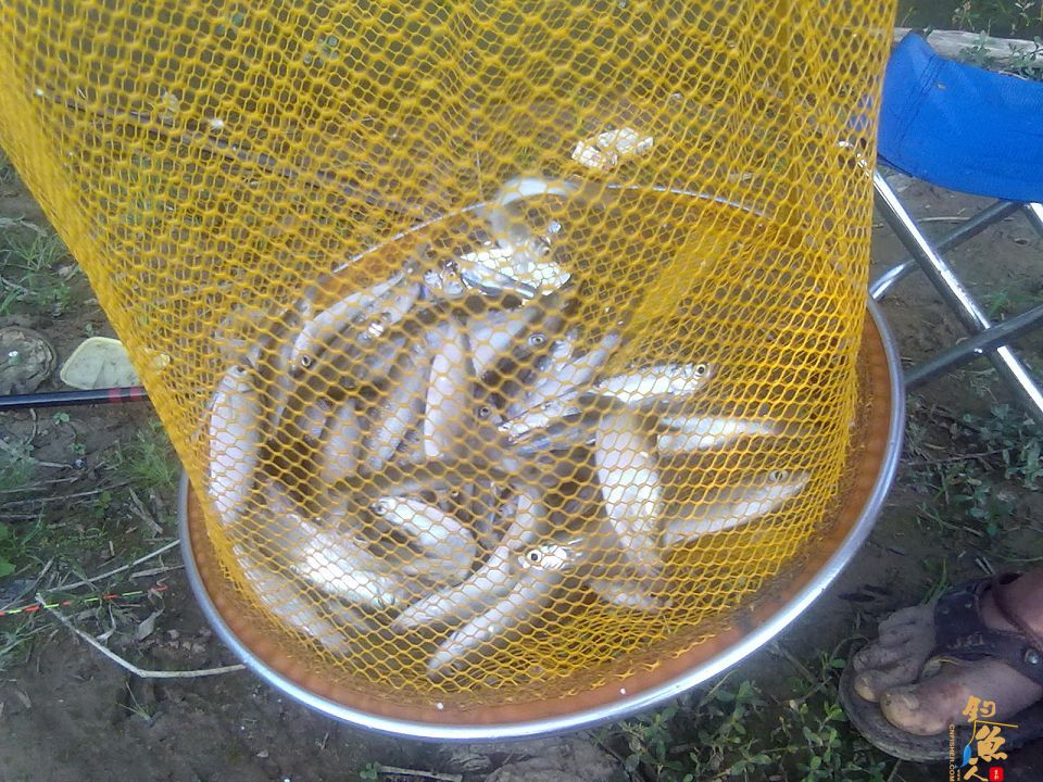 屡次空军后，终于等来刀光剑影