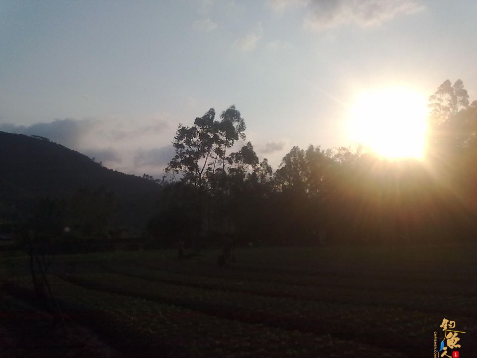 屡次空军后，终于等来刀光剑影