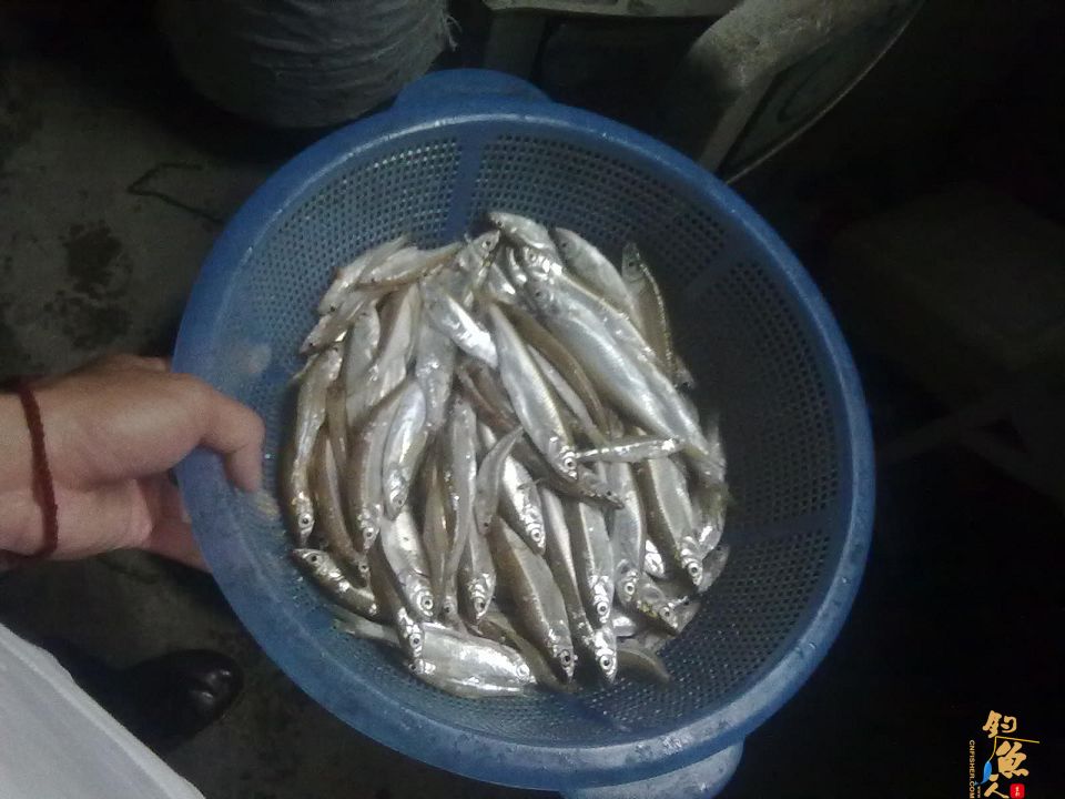 屡次空军后，终于等来刀光剑影