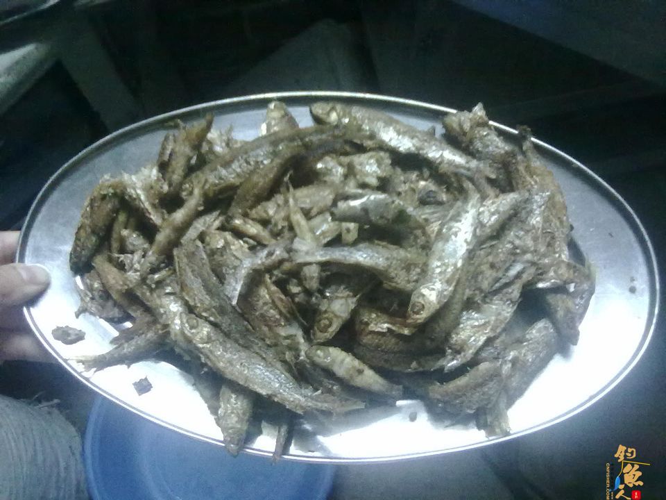 屡次空军后，终于等来刀光剑影