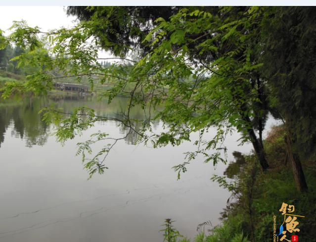 看我 “鲫”战红旗水库