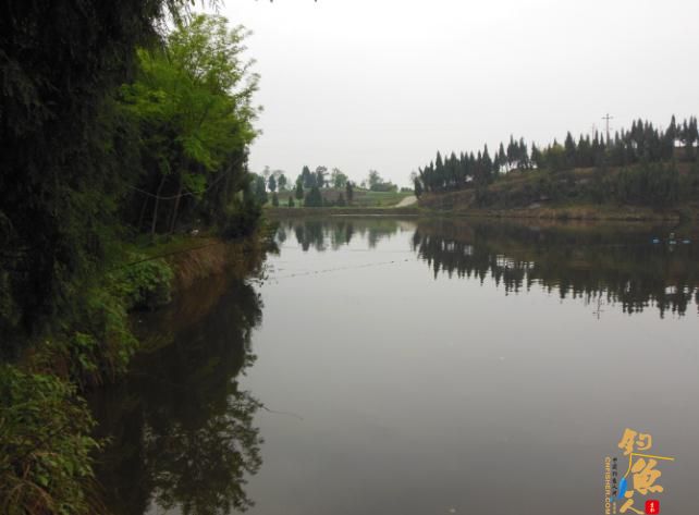 看我 “鲫”战红旗水库