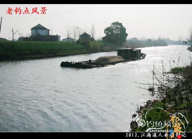 【原创】红虫鲫赢得一顿饭