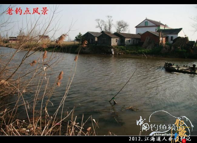 【原创】红虫鲫赢得一顿饭