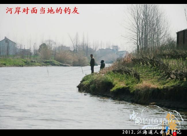 【原创】红虫鲫赢得一顿饭