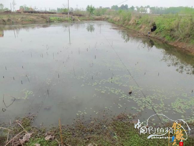 村野钓草塘之菜地泄密 多图