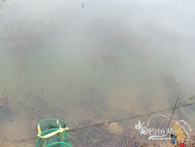 村野钓草塘之菜地泄密 多图