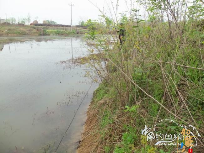 村野钓草塘之菜地泄密 多图