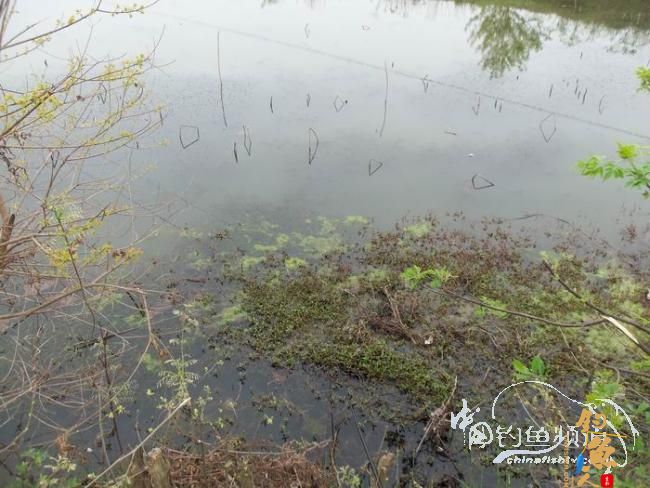村野钓草塘之菜地泄密 多图