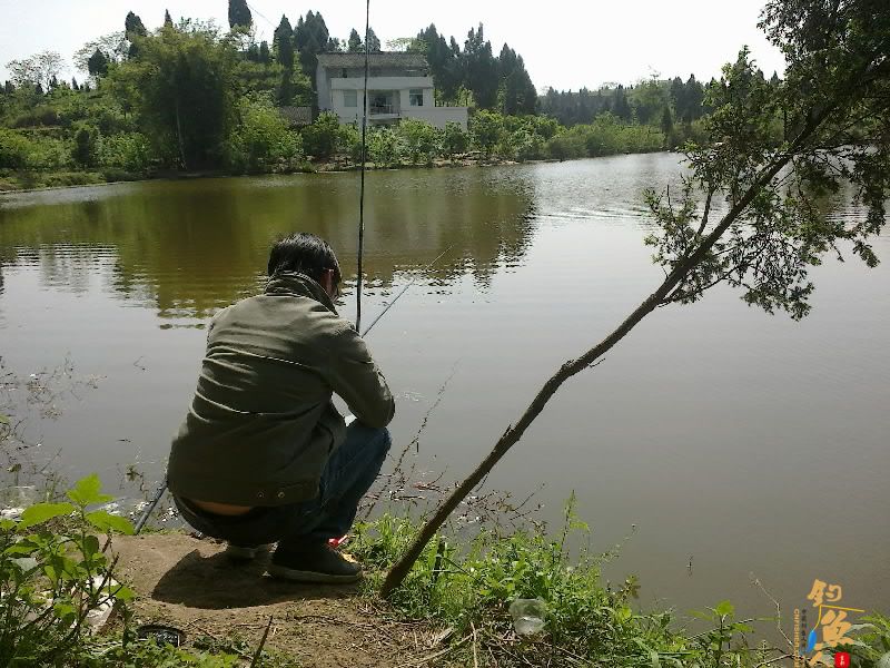 昨日钓鱼图 风景那个漂亮
