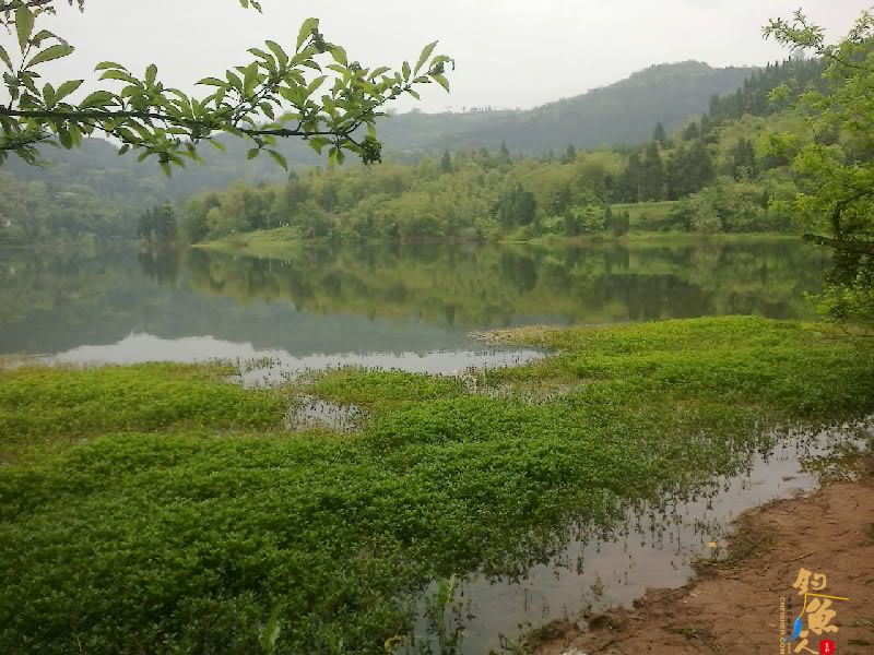 昨日钓鱼图 风景那个漂亮