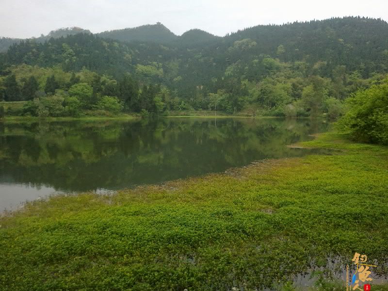 昨日钓鱼图 风景那个漂亮