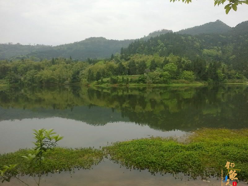 昨日钓鱼图 风景那个漂亮