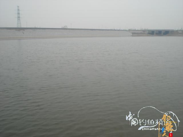 垂钓之意不在鱼 yu  ?