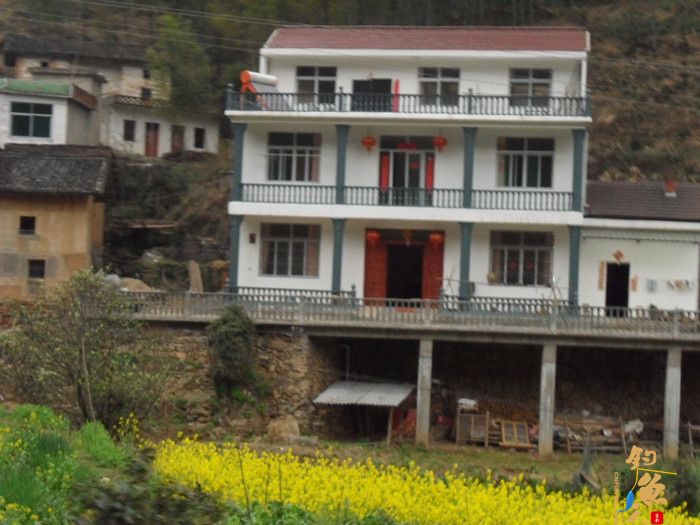 首探花亭湖  独家 不顺大败收场