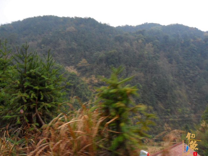 首探花亭湖  独家 不顺大败收场