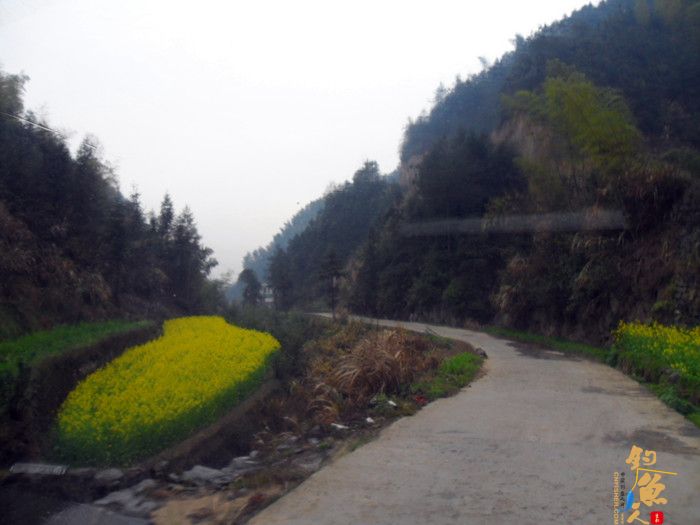 首探花亭湖  独家 不顺大败收场