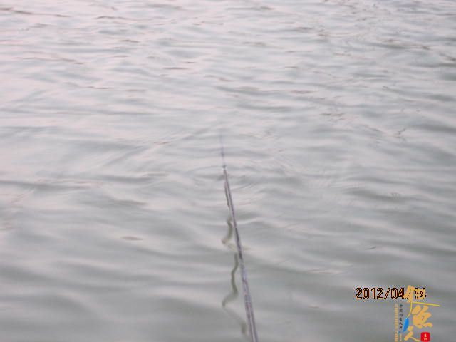 风中的坚持,鱼获不多，但风景很美