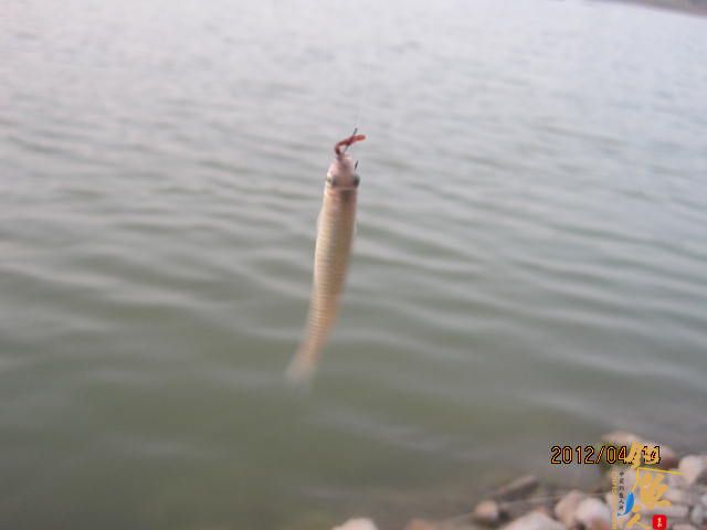 风中的坚持,鱼获不多，但风景很美