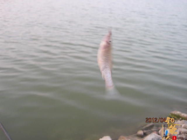 风中的坚持,鱼获不多，但风景很美