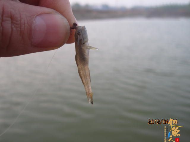 风中的坚持,鱼获不多,但风景很美