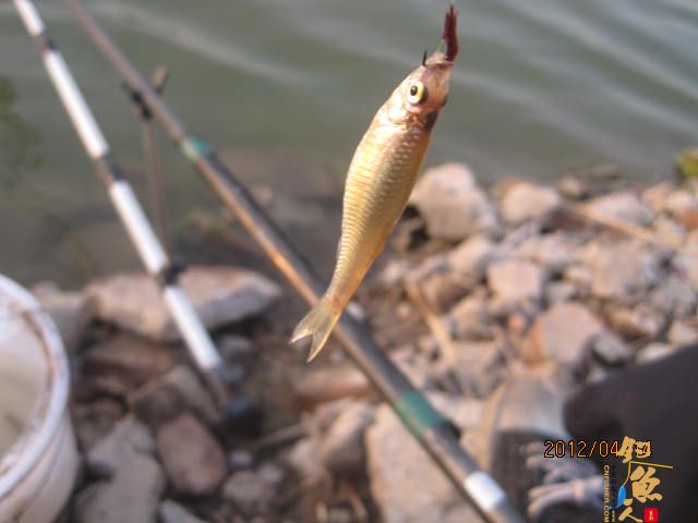 风中的坚持,鱼获不多,但风景很美
