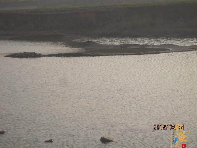 风中的坚持,鱼获不多，但风景很美